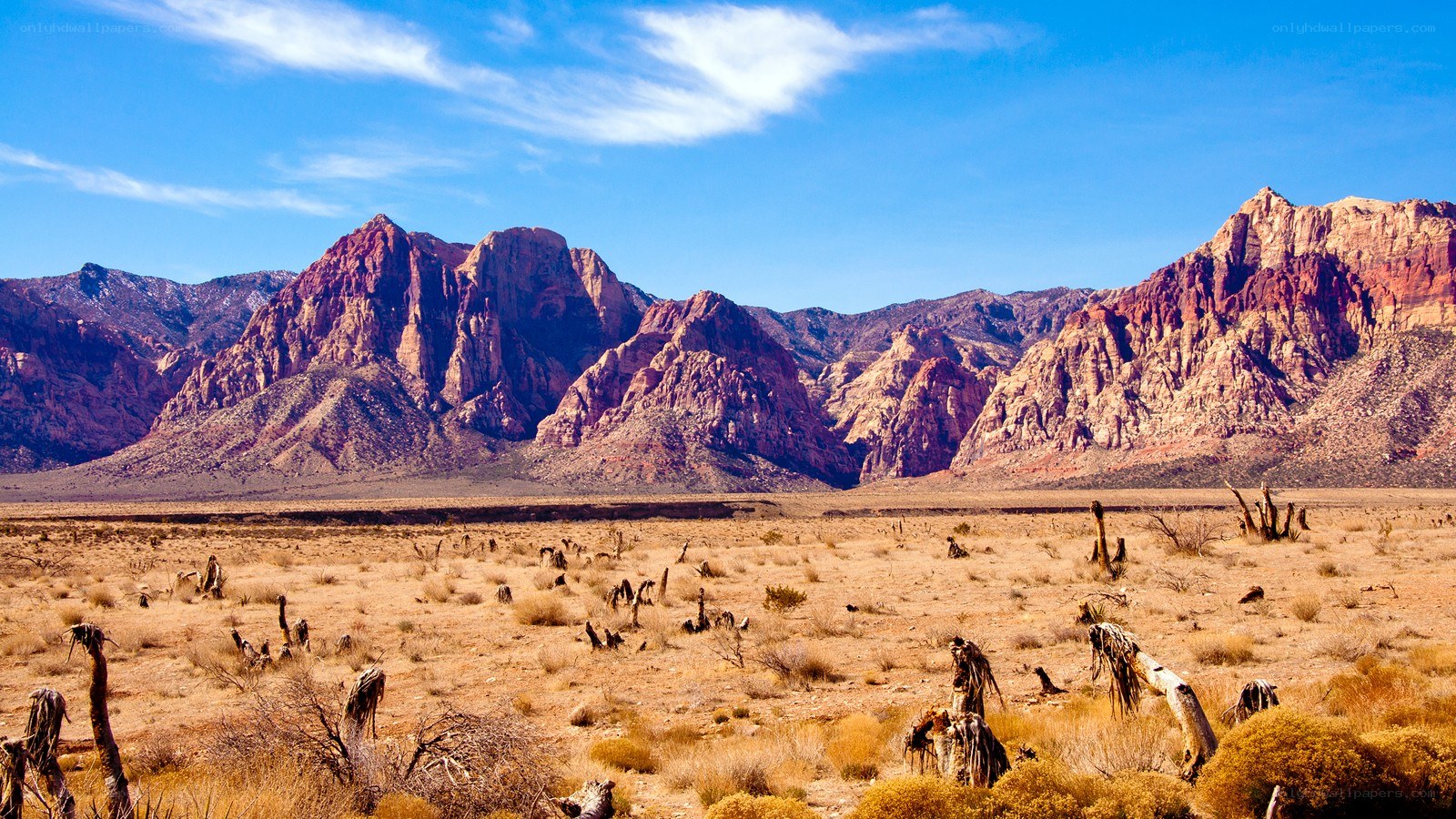 desert landscape with red rock formations