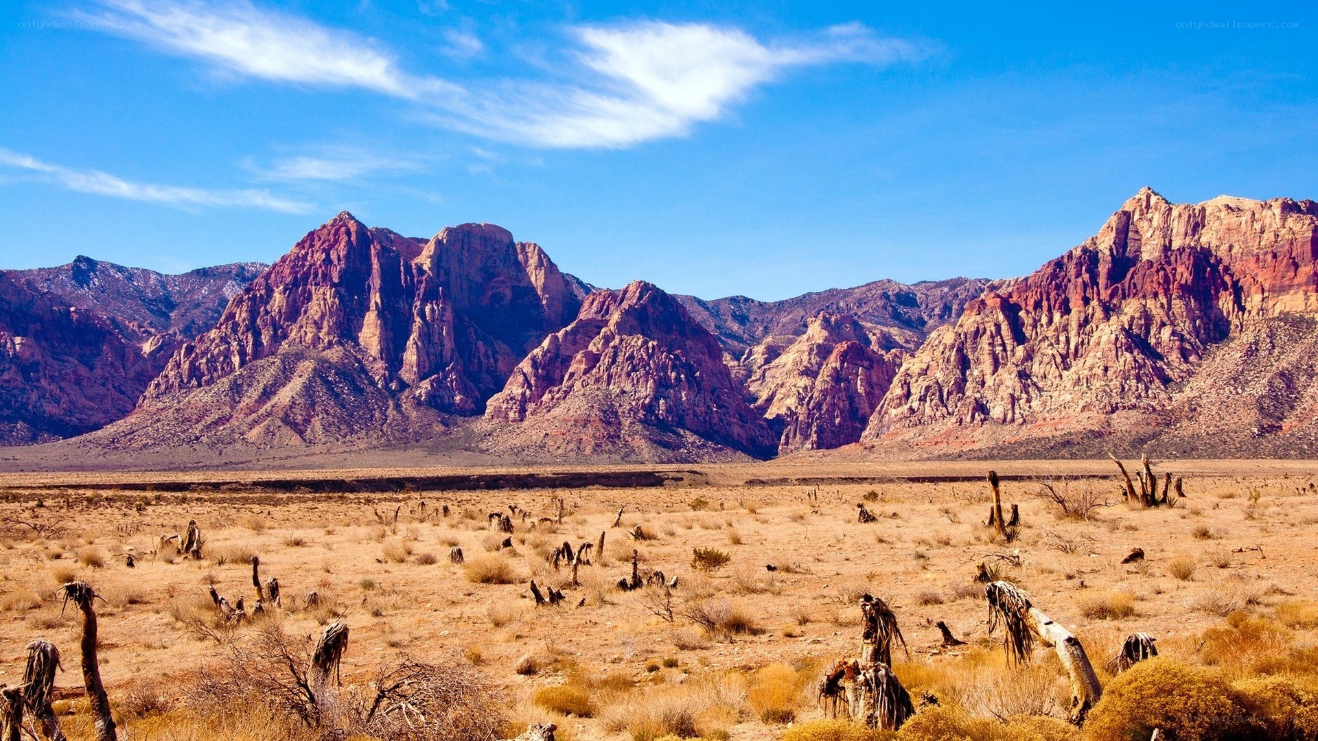 desert landscape with red rock formations
