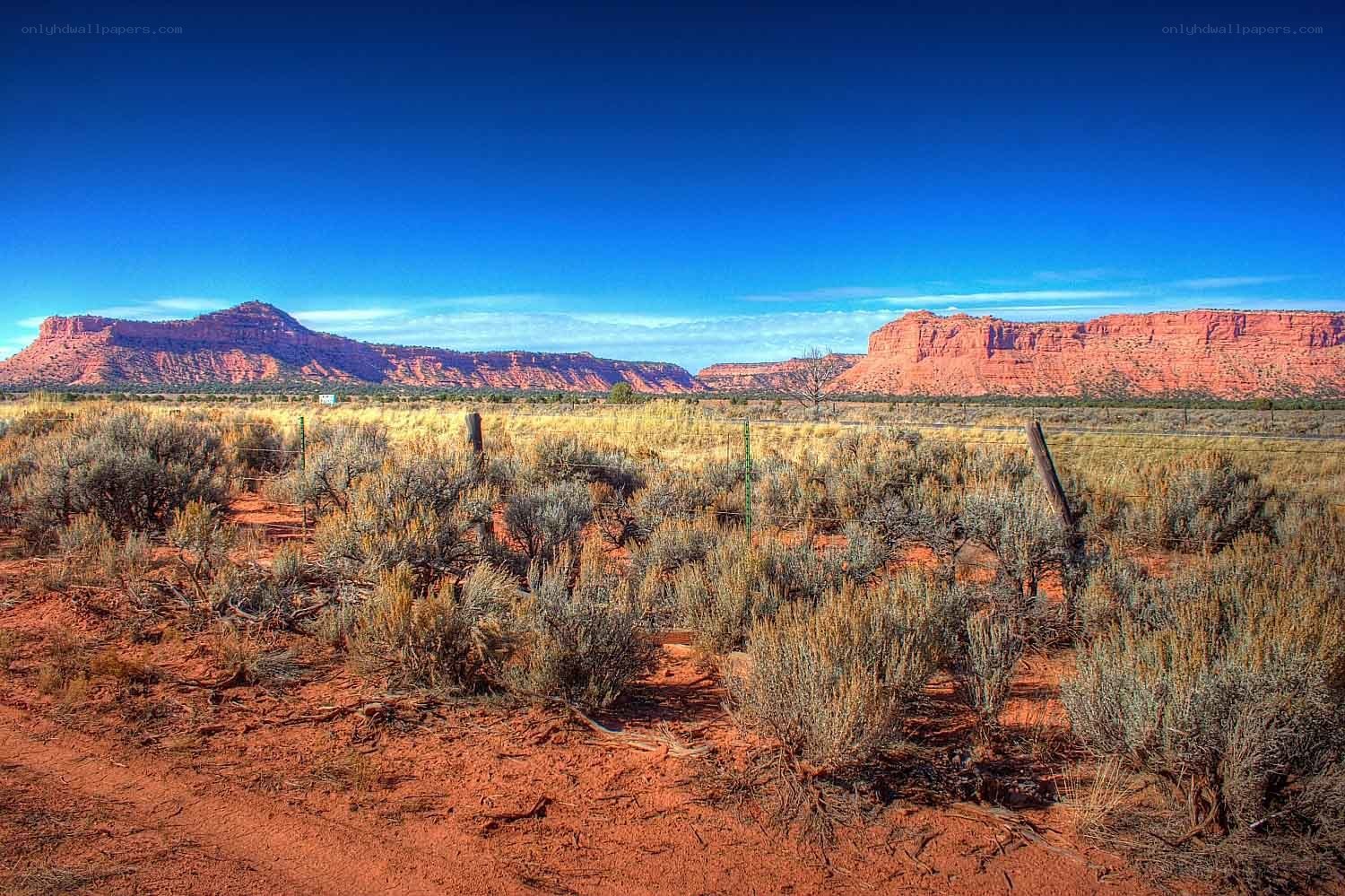 Desert landscape with red rock formations