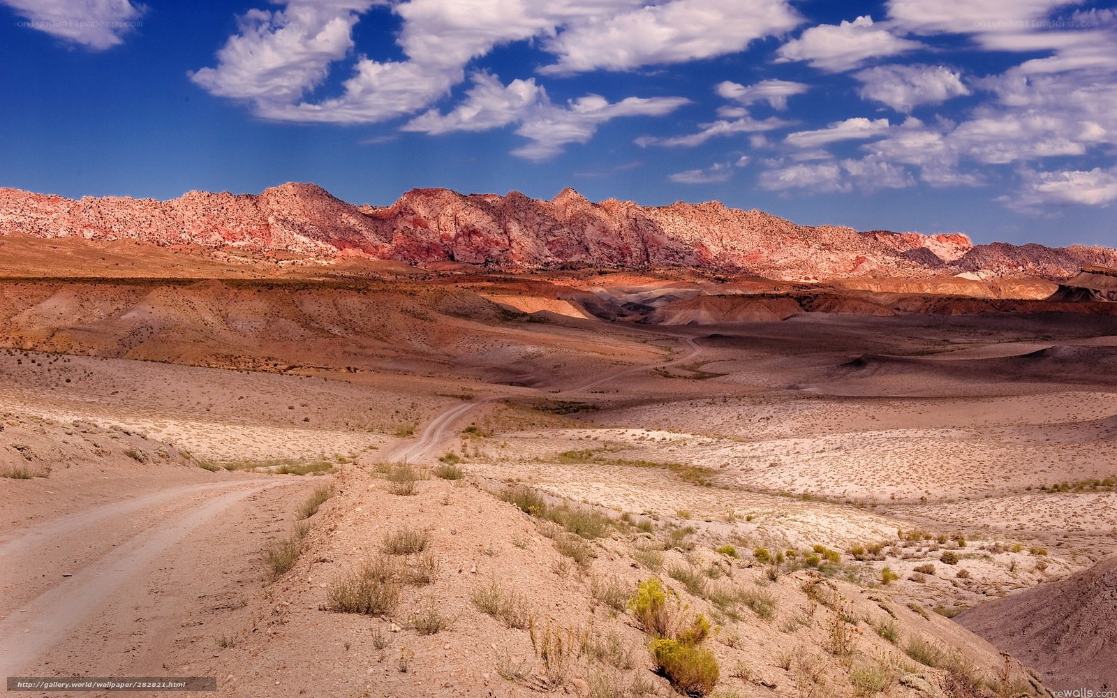 Desert landscape with red rock formations