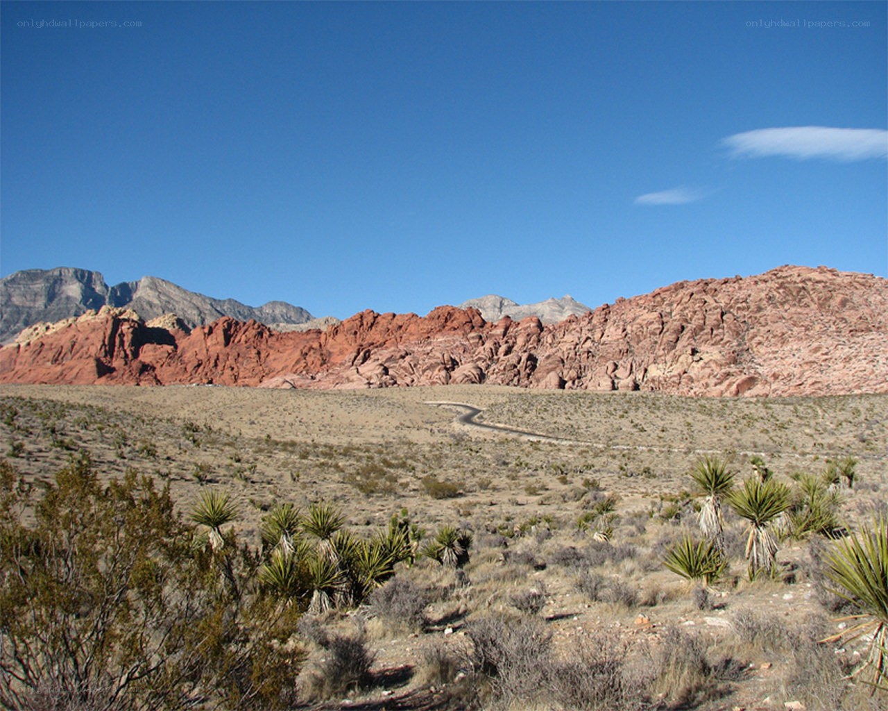 desert landscape with red rock formations