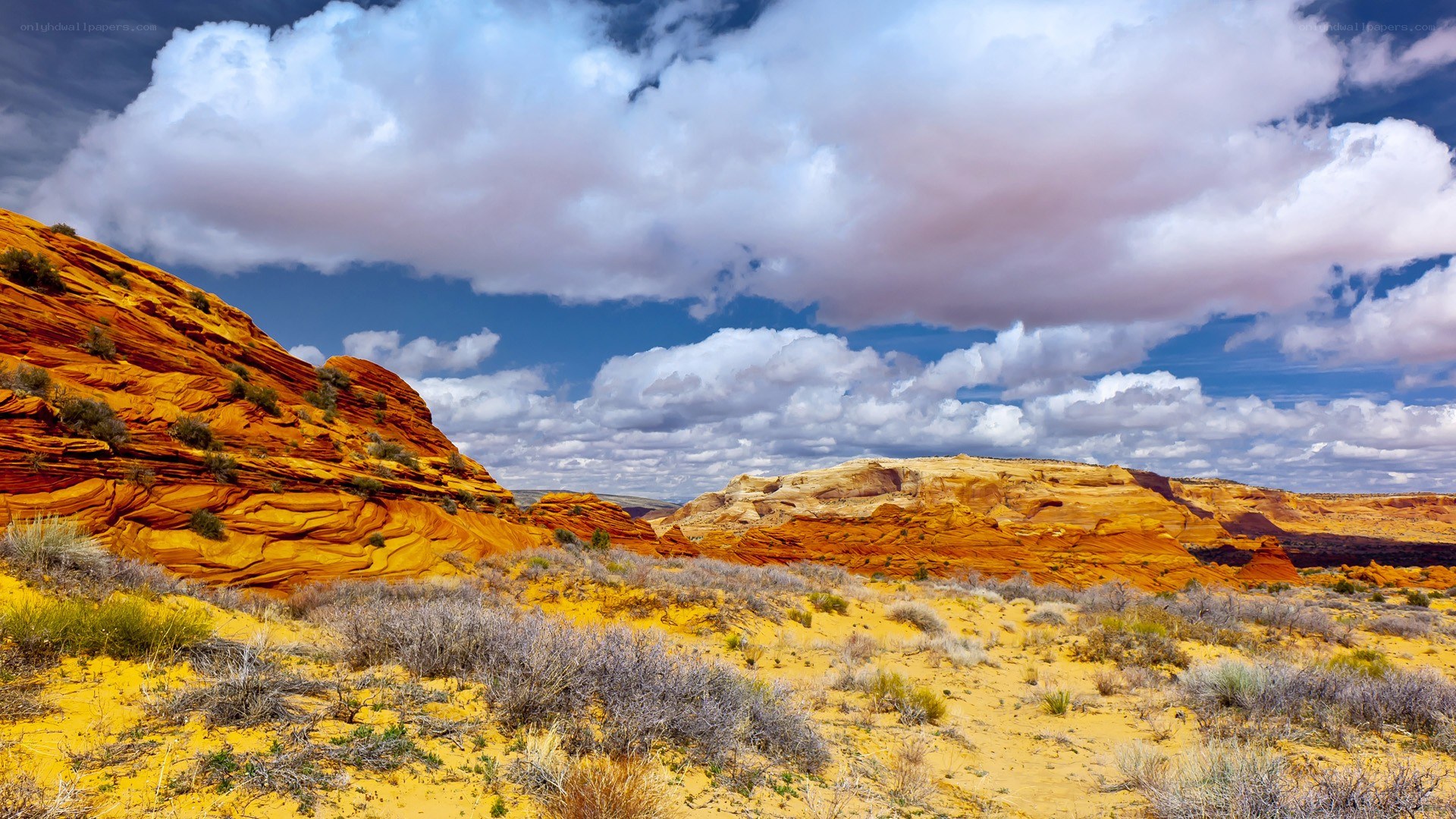 Desert landscape with red rock formations