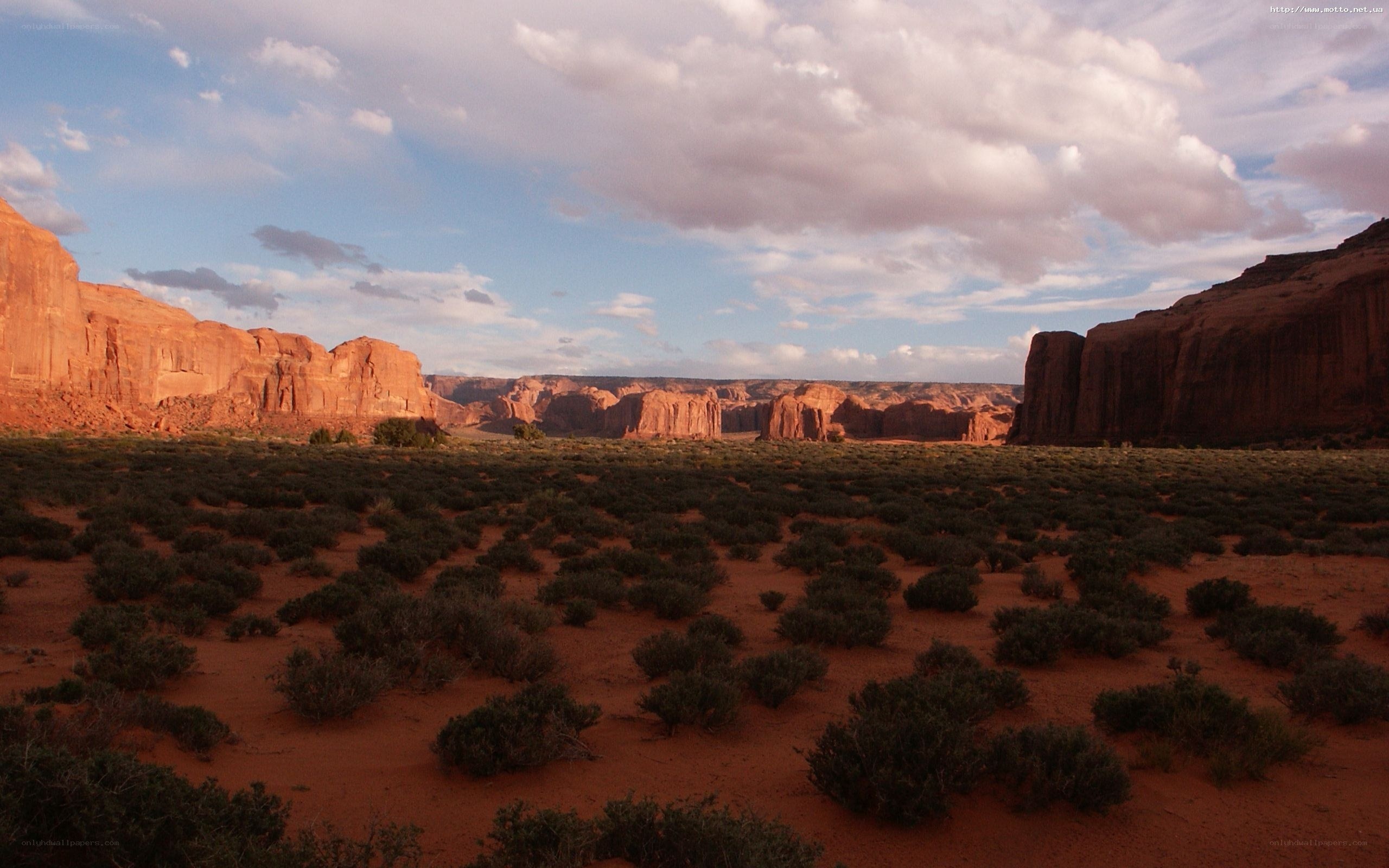 Desert landscape with red rock formations