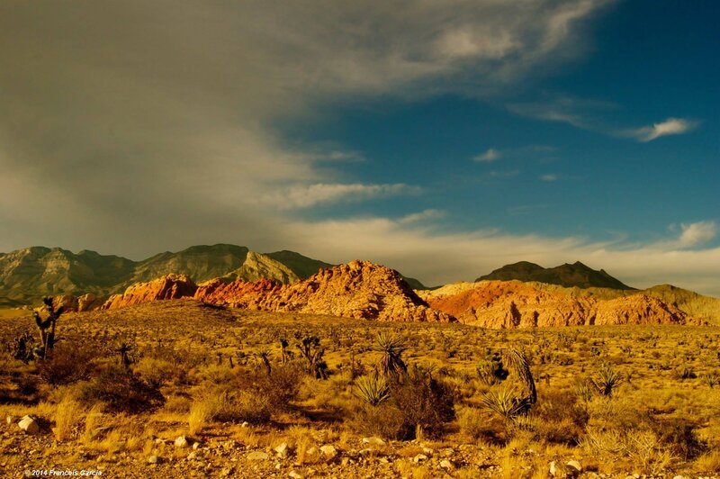 Desert Landscape with Red Rocks