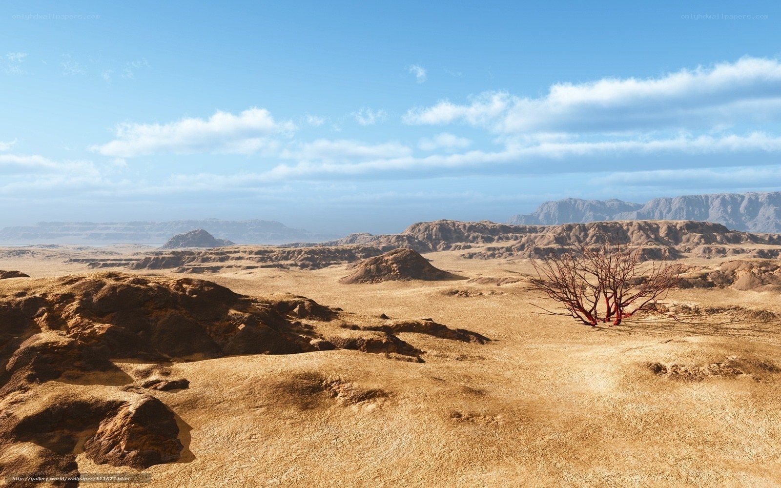 Desert landscape with red tree
