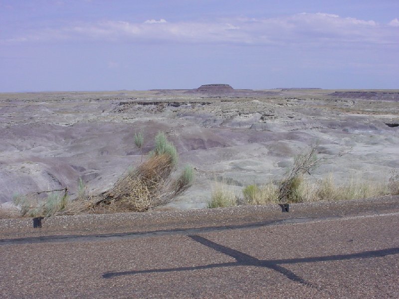 desert landscape with road