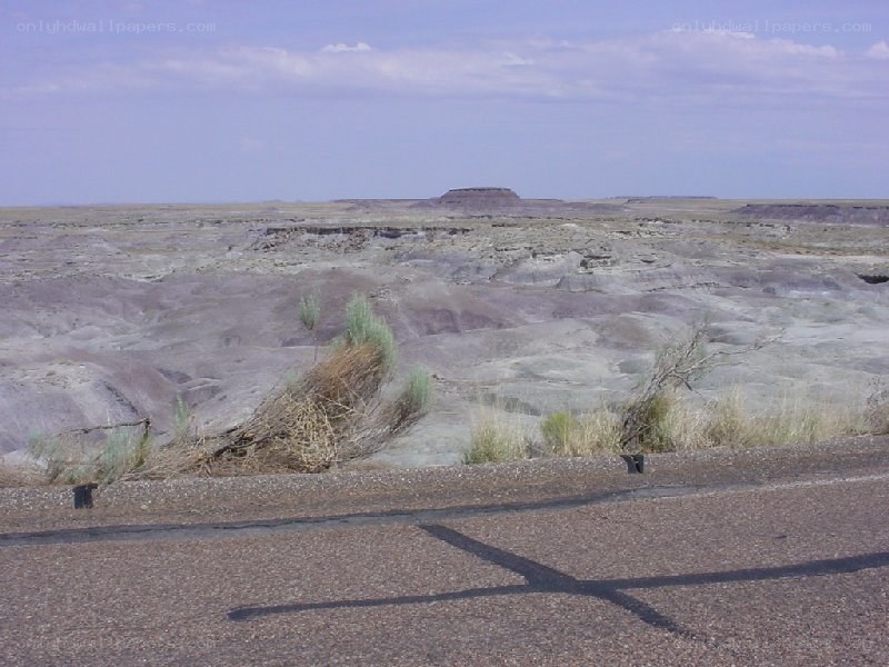desert landscape with road