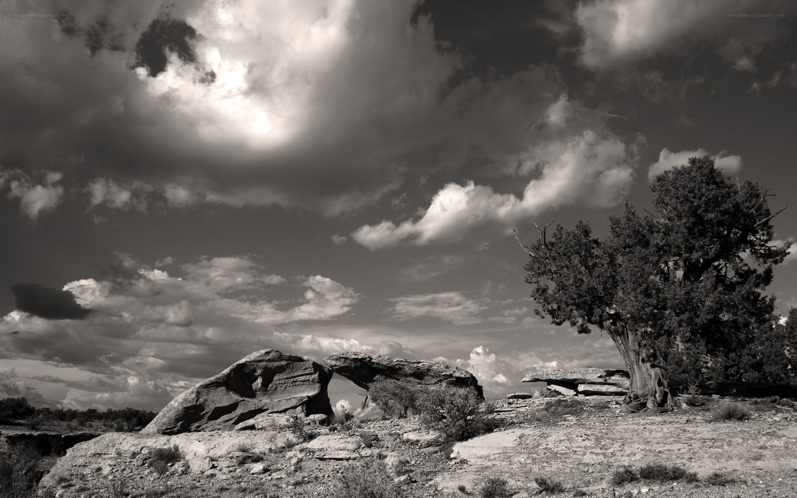 Desert landscape with rock arch