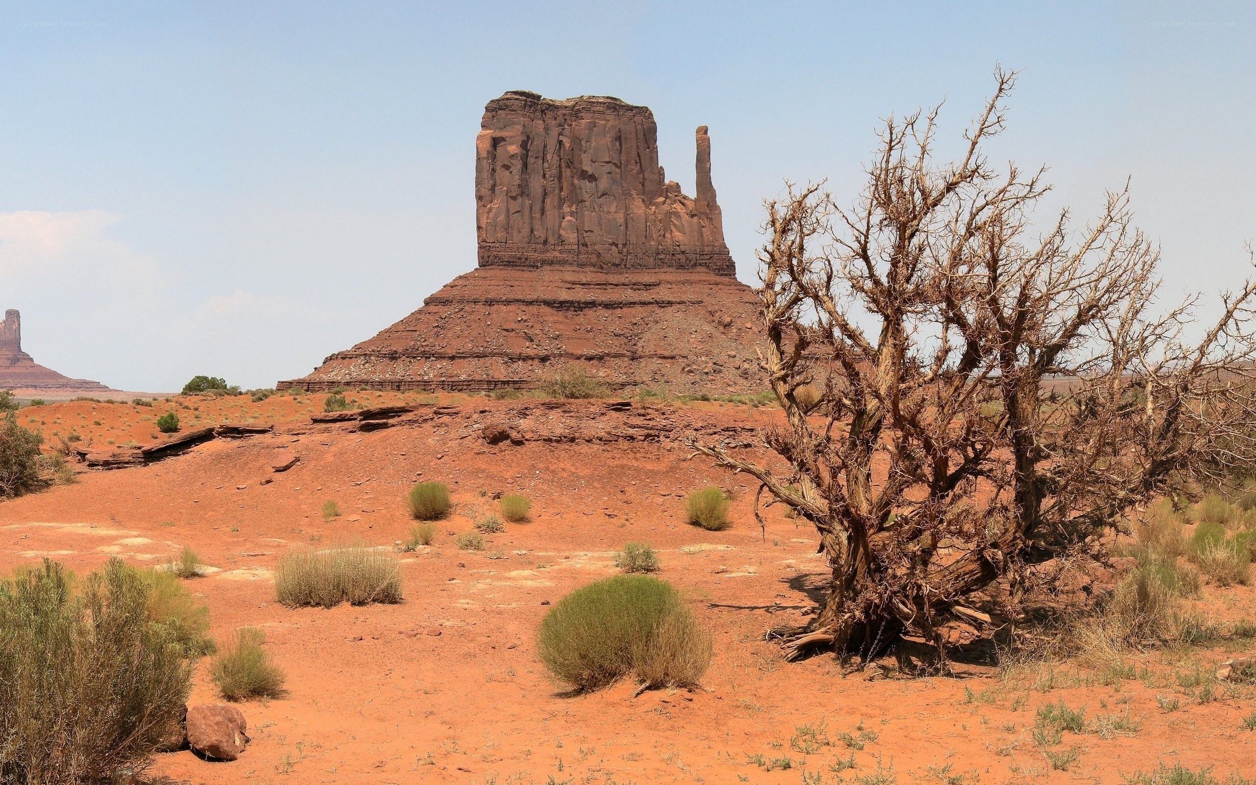Desert landscape with rock formation