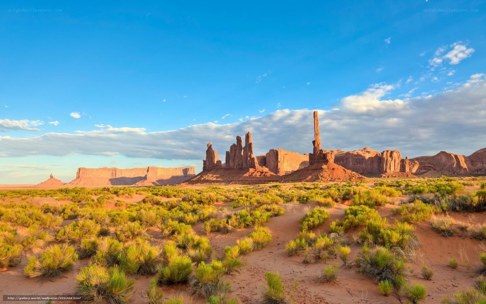 Desert landscape with rock formations