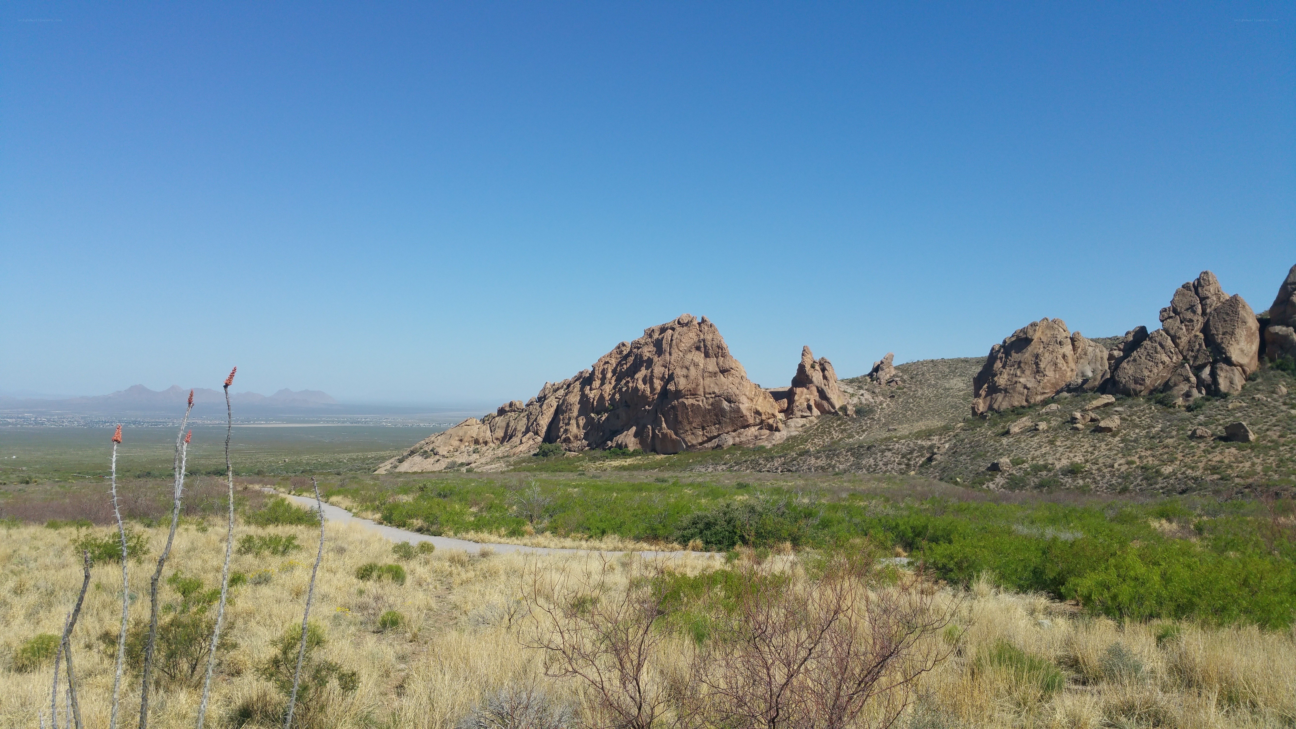 Desert landscape with rock formations