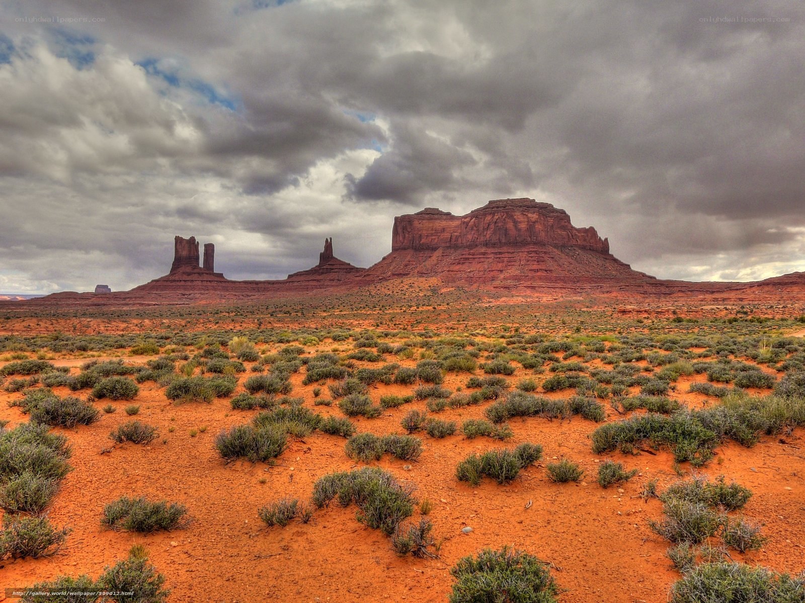 Desert landscape with rock formations