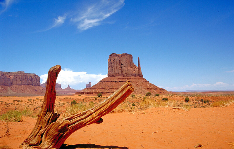 Desert landscape with rock formations