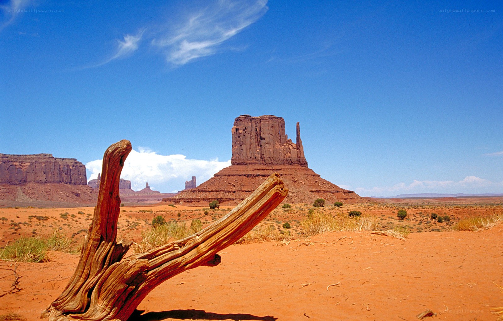 Desert landscape with rock formations