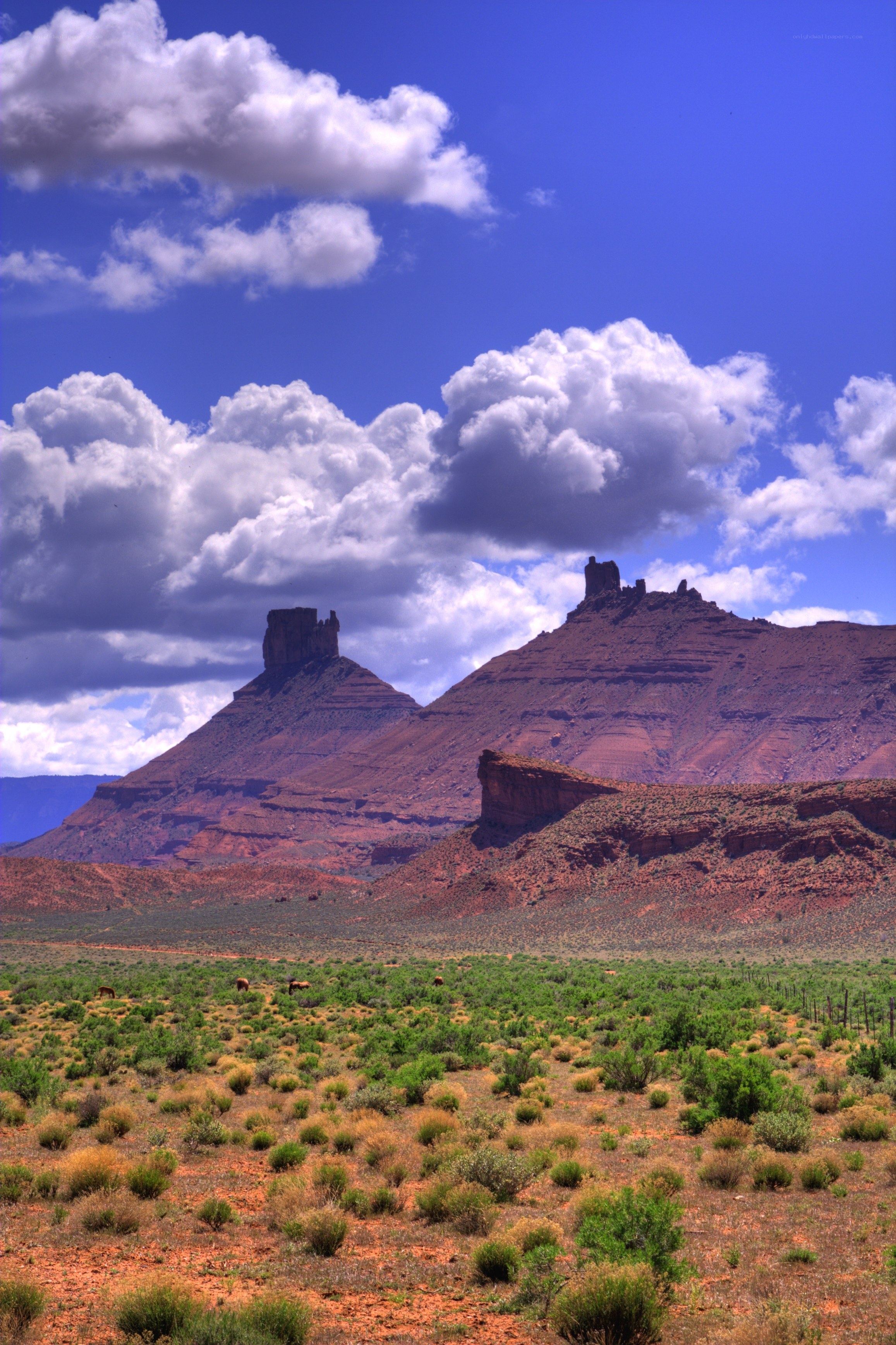 Desert landscape with rock formations