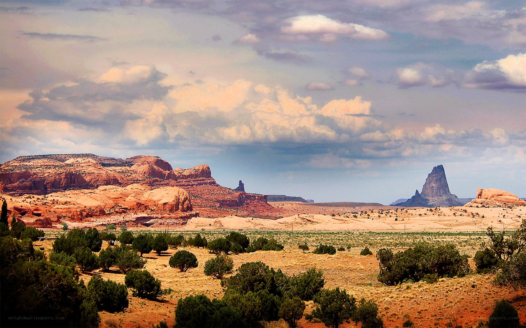 Desert landscape with rock formations