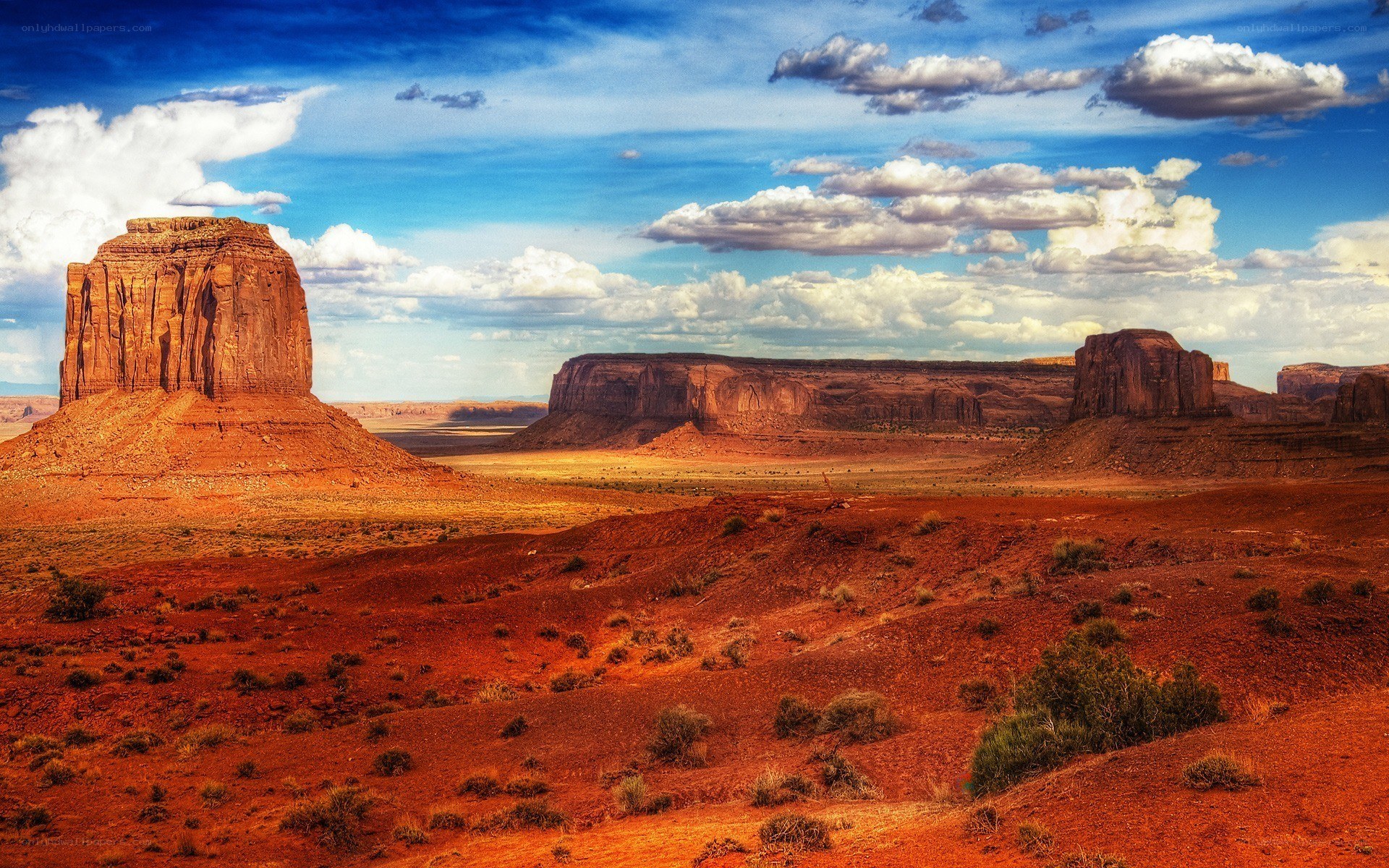 Desert landscape with rock formations