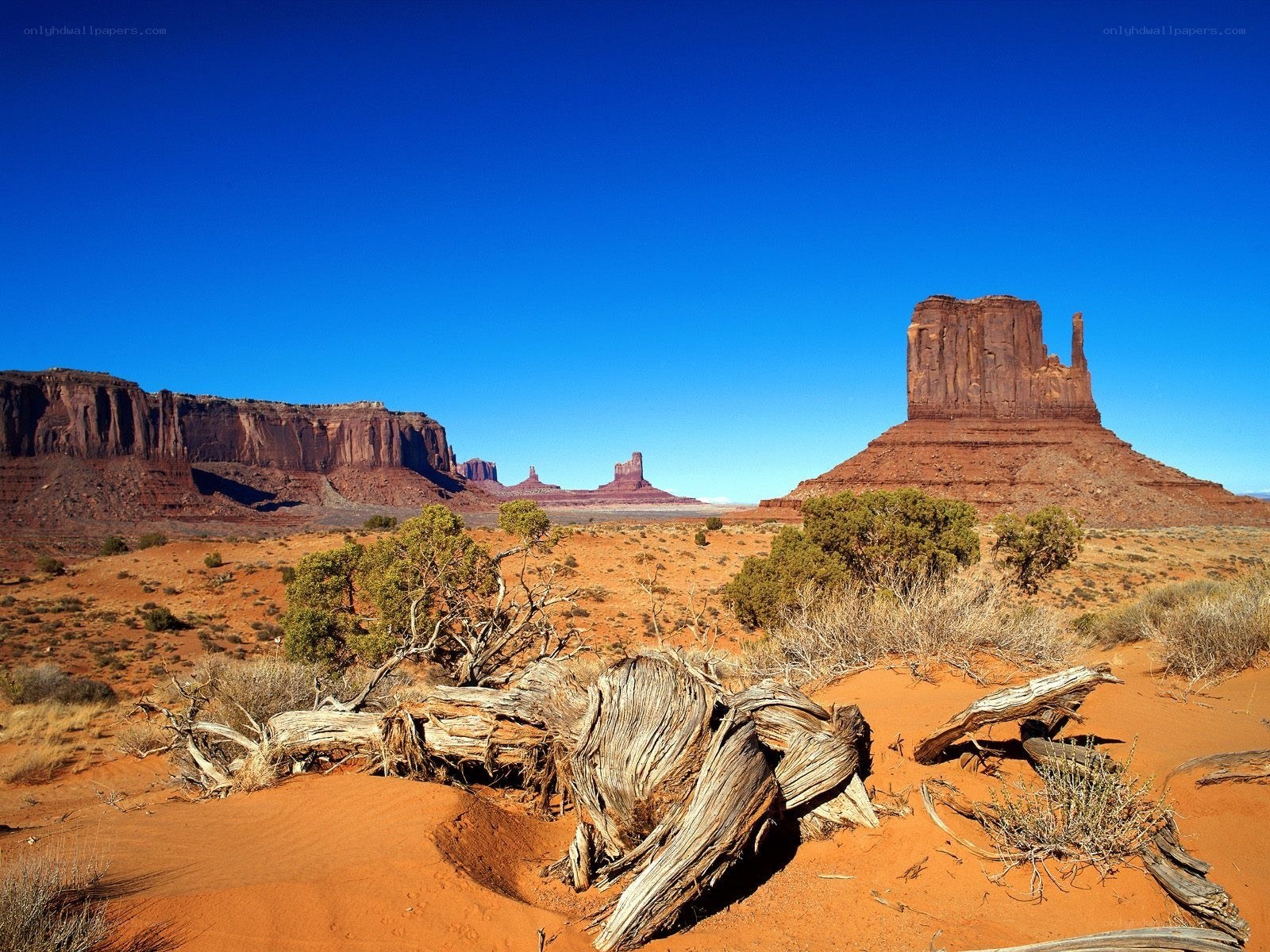 Desert landscape with rock formations