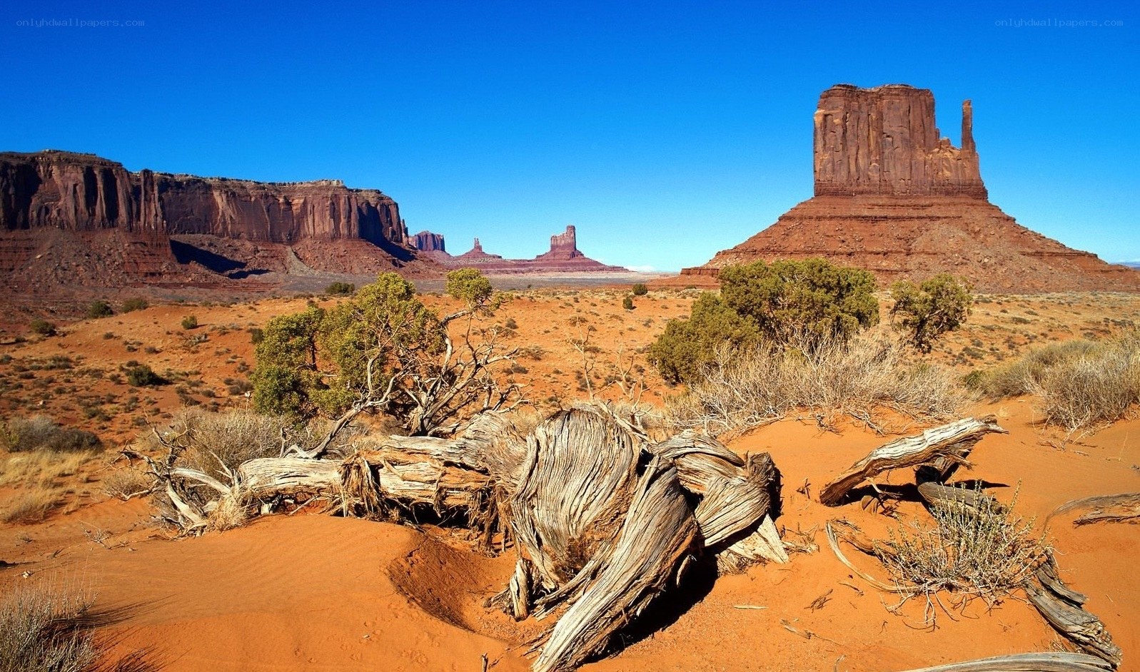 Desert landscape with rock formations