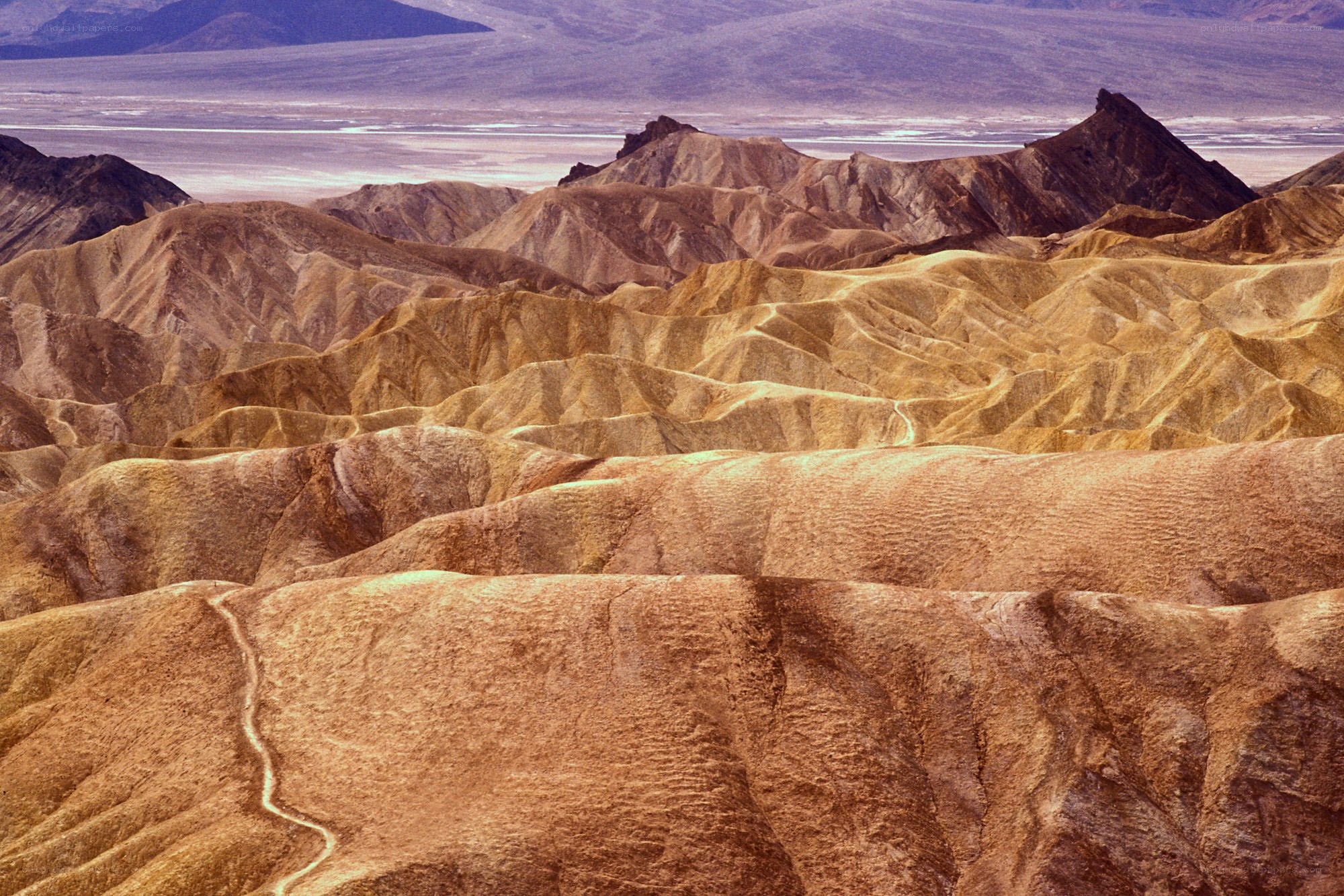 Desert landscape with rock formations