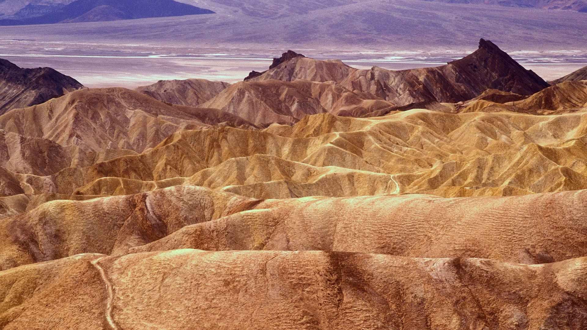 Desert landscape with rock formations