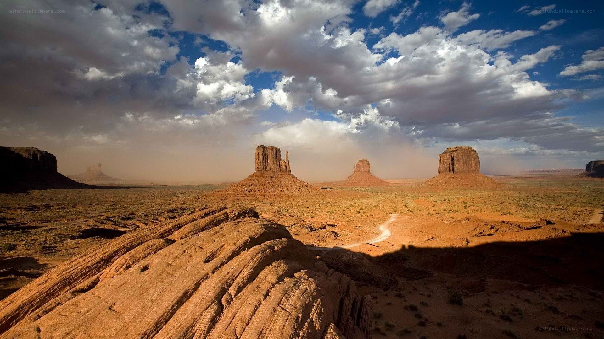 Desert landscape with rock formations