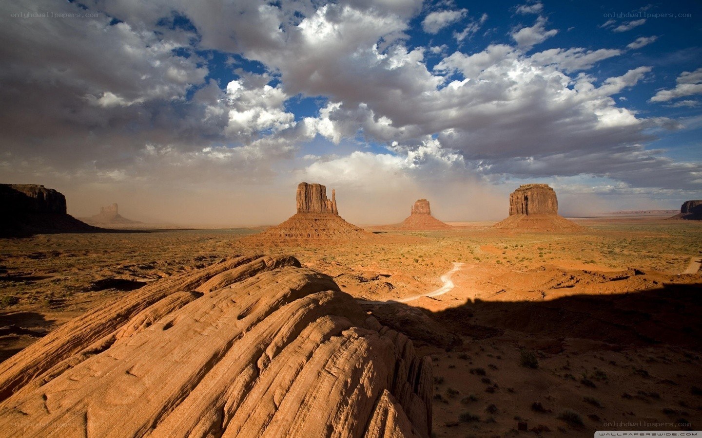 Desert landscape with rock formations