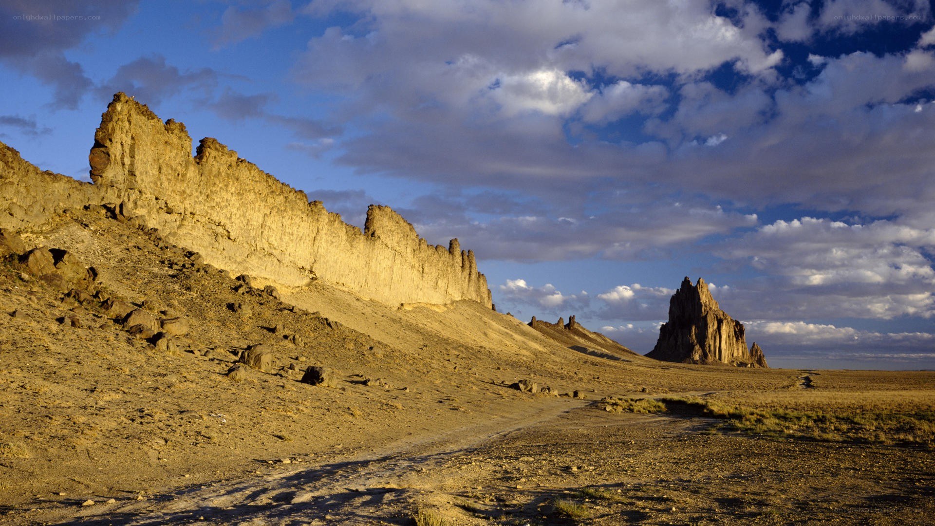 Desert landscape with rock formations