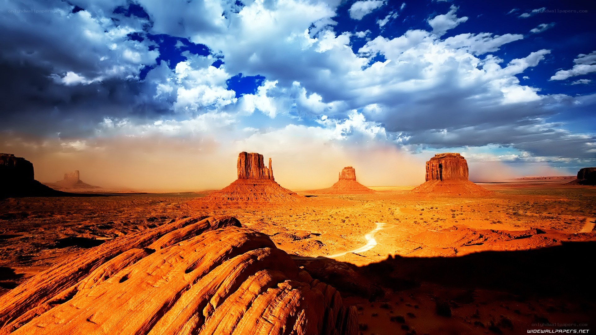 Desert landscape with rock formations