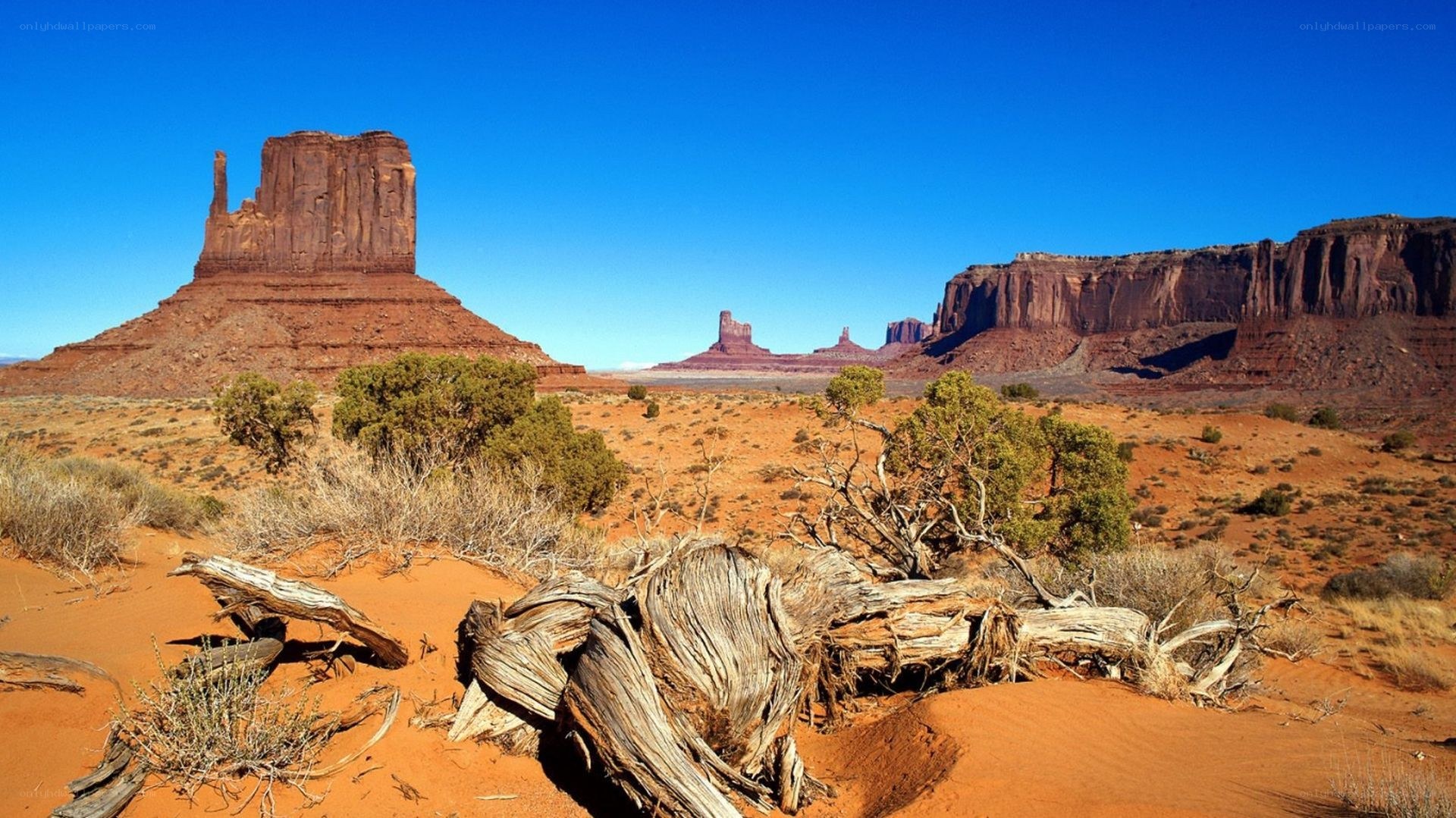 desert landscape with rock formations