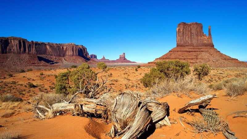 Desert landscape with rock formations
