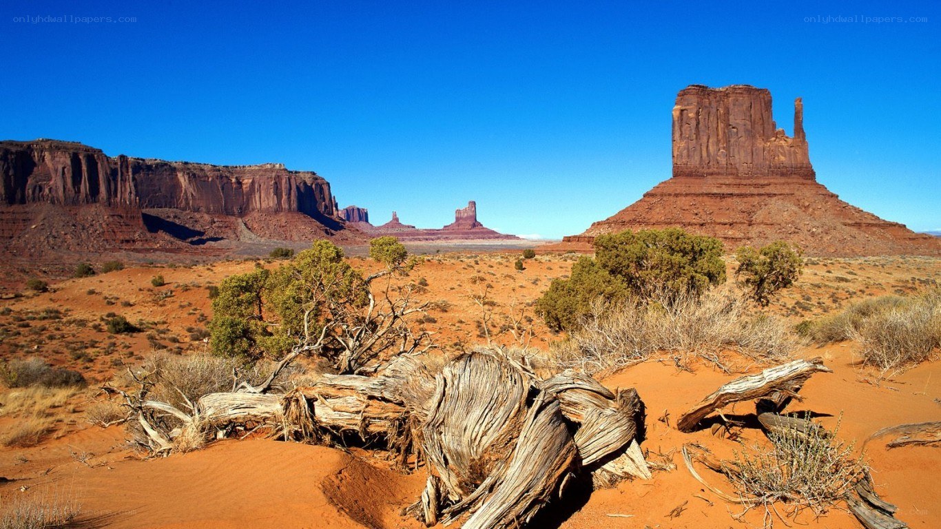 Desert landscape with rock formations
