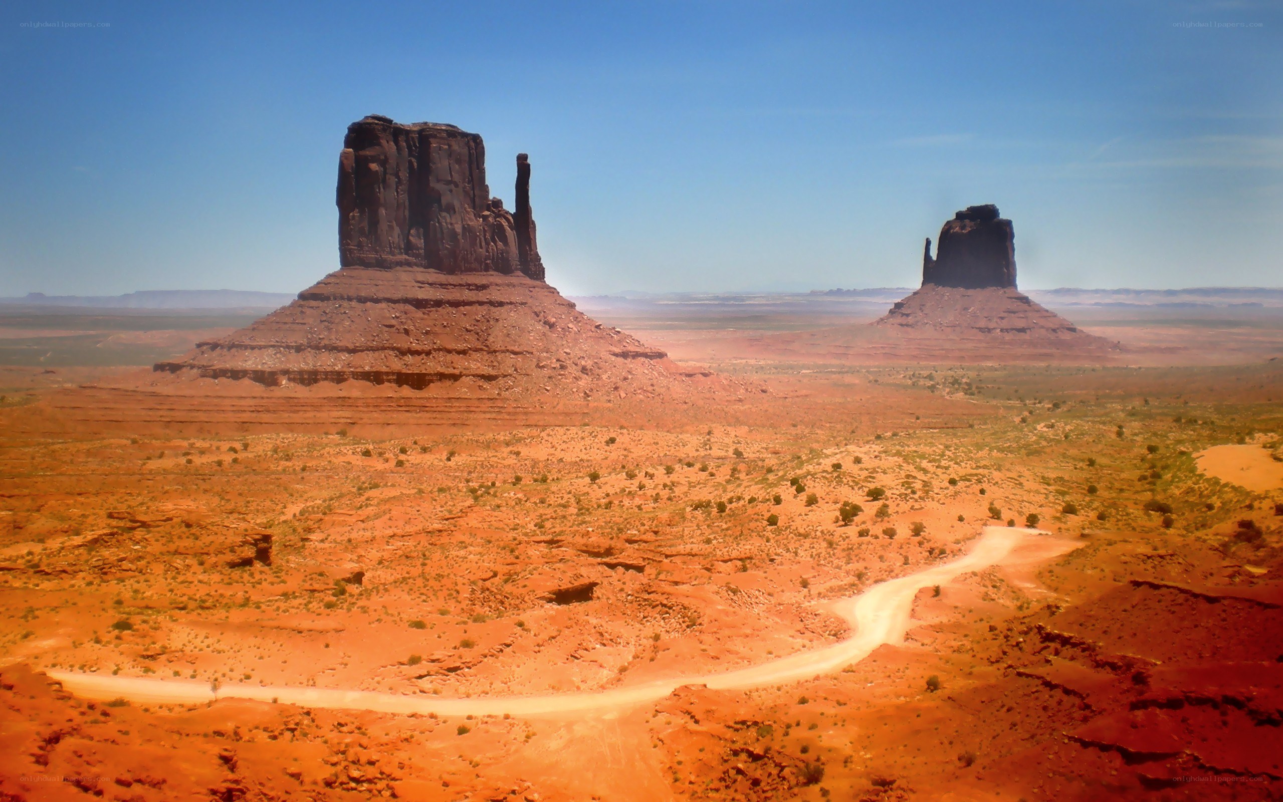 Desert landscape with rock formations