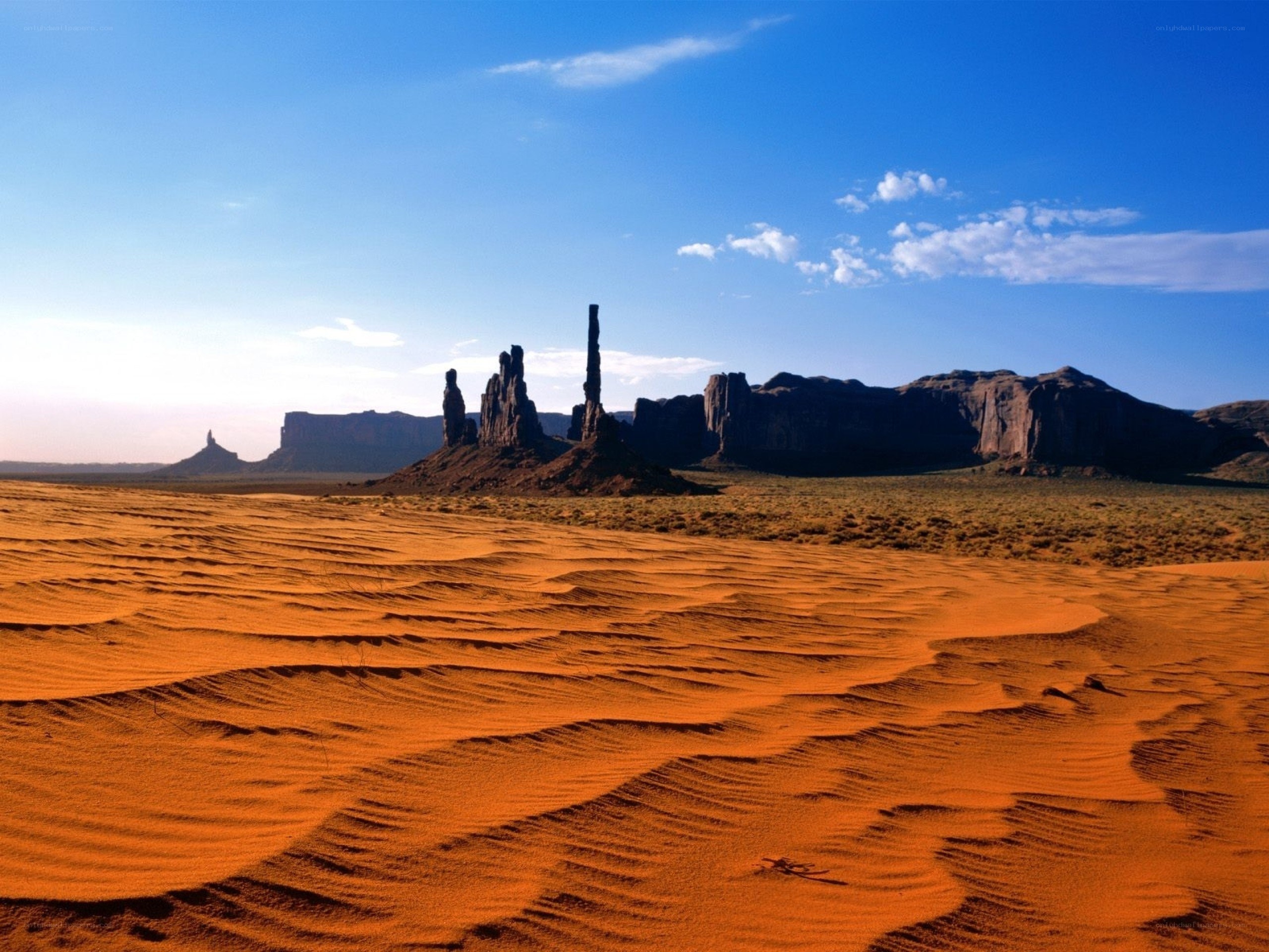 Desert landscape with rock formations
