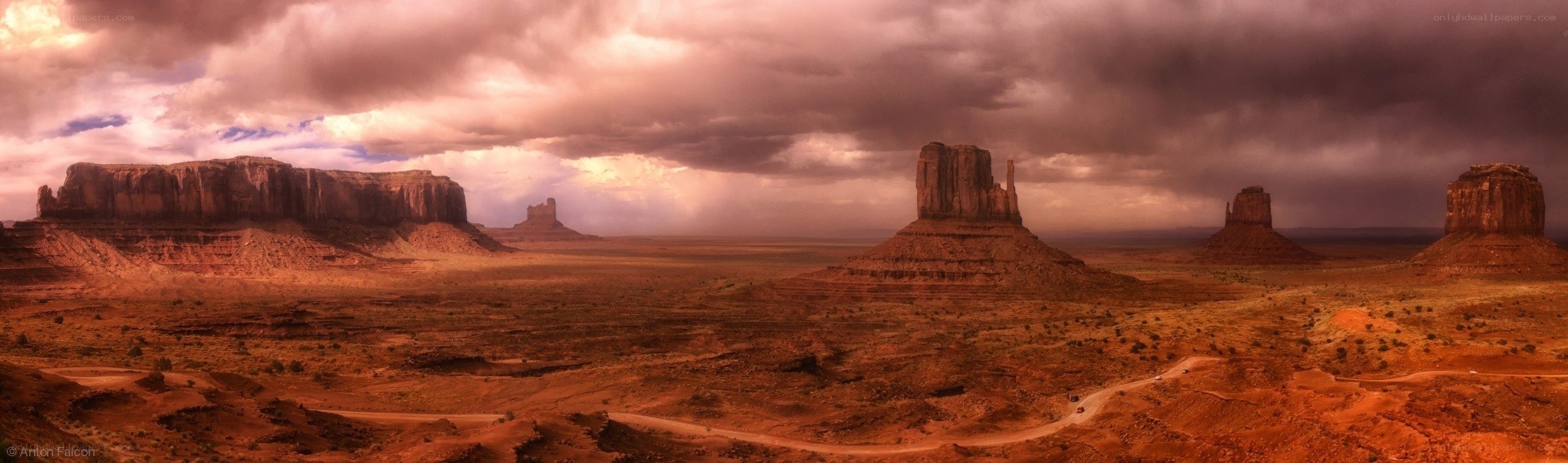 Desert landscape with rock formations