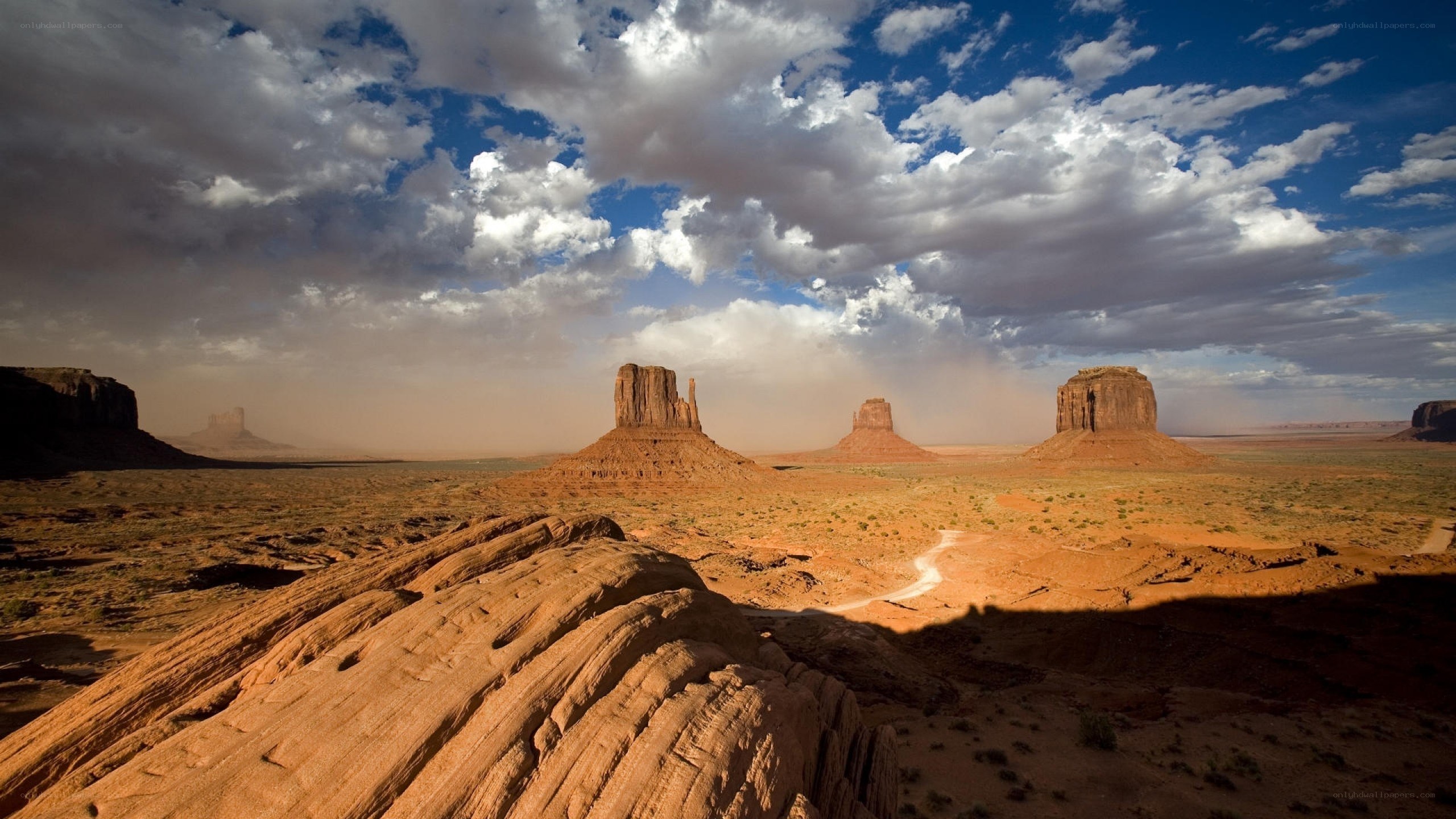 Desert landscape with rock formations