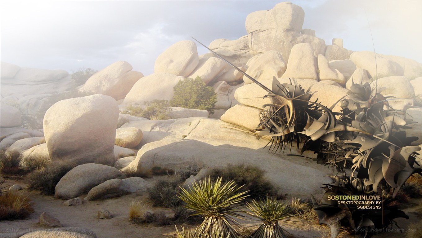 Desert landscape with rock formations
