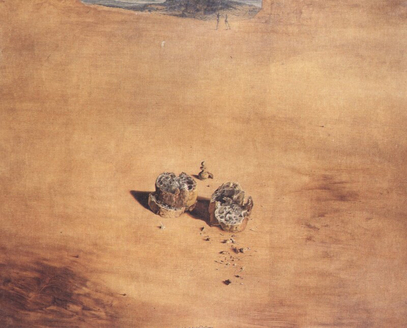 Desert landscape with rocks