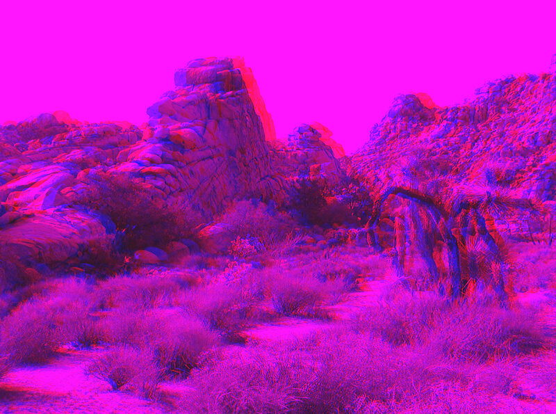 Desert Landscape with Rocks — Magenta