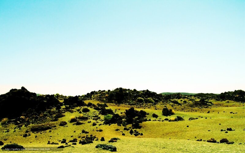 Desert landscape with rocks