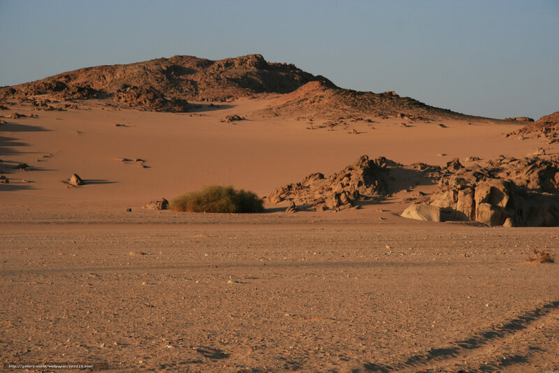 Desert landscape with rocky hills