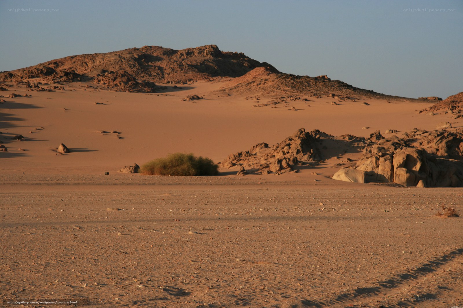 Desert landscape with rocky hills