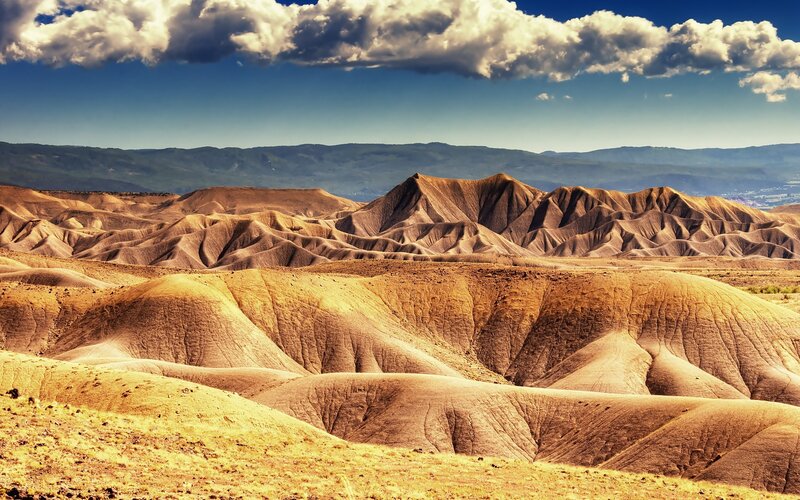 Desert landscape with rolling hills