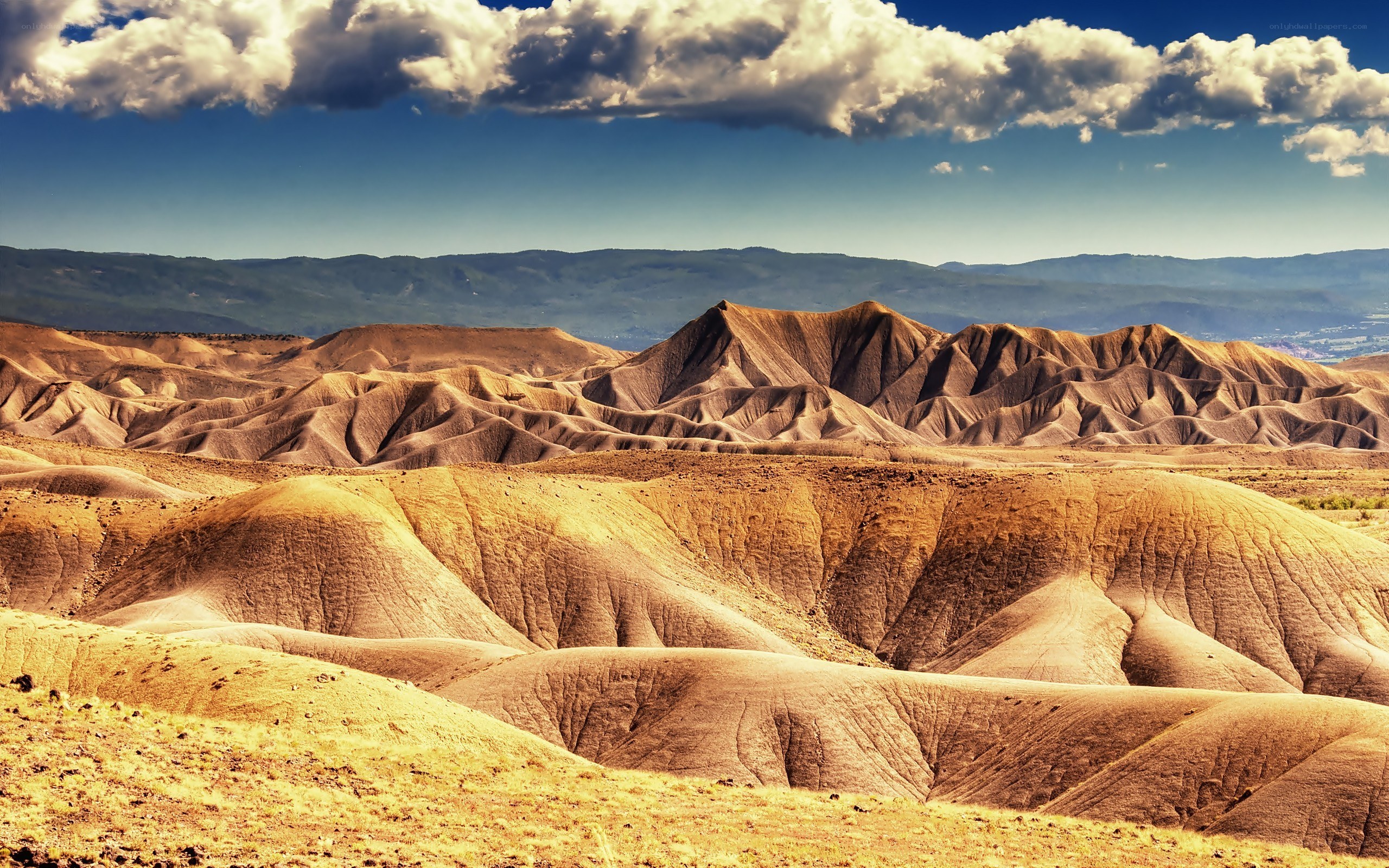 Desert landscape with rolling hills