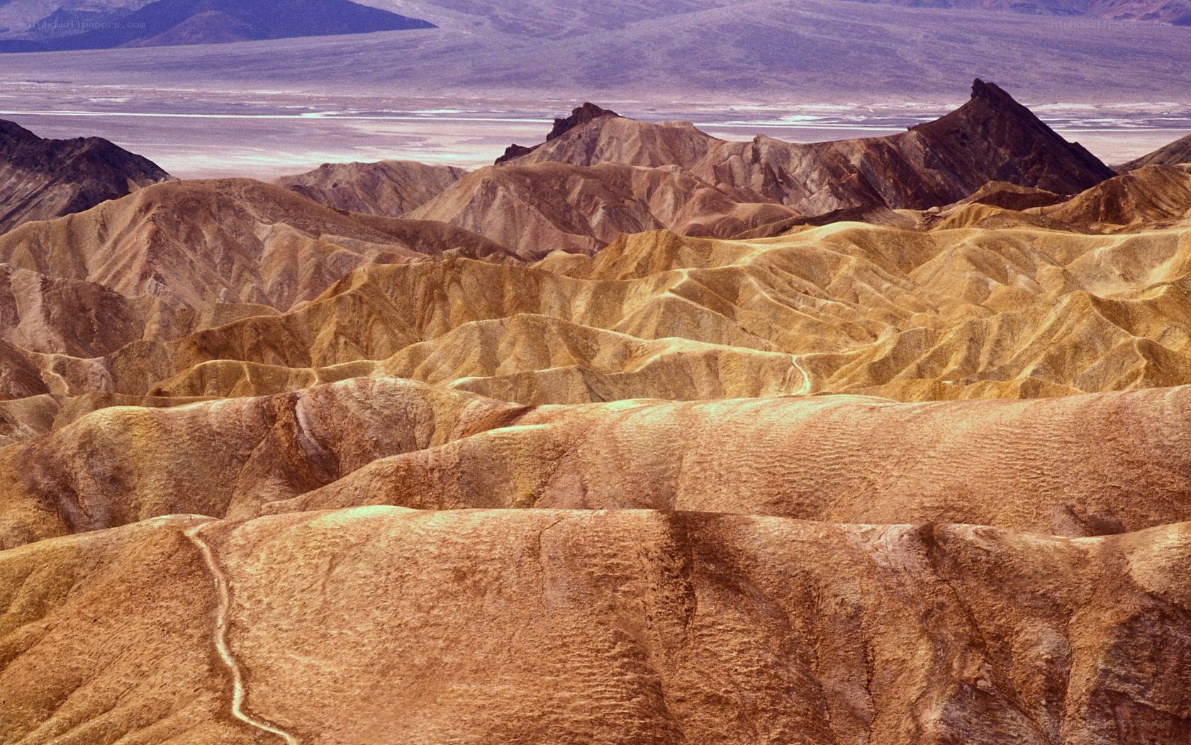 Desert landscape with rugged hills