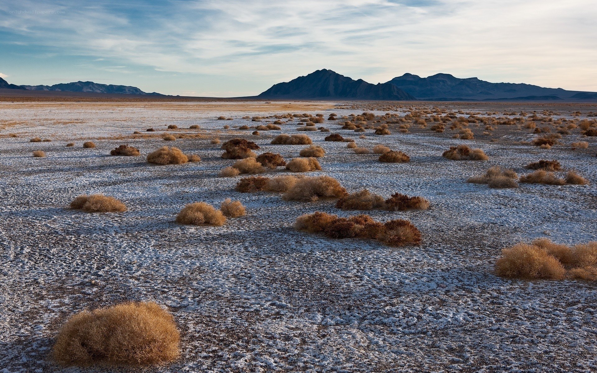 Desert landscape with salt flats