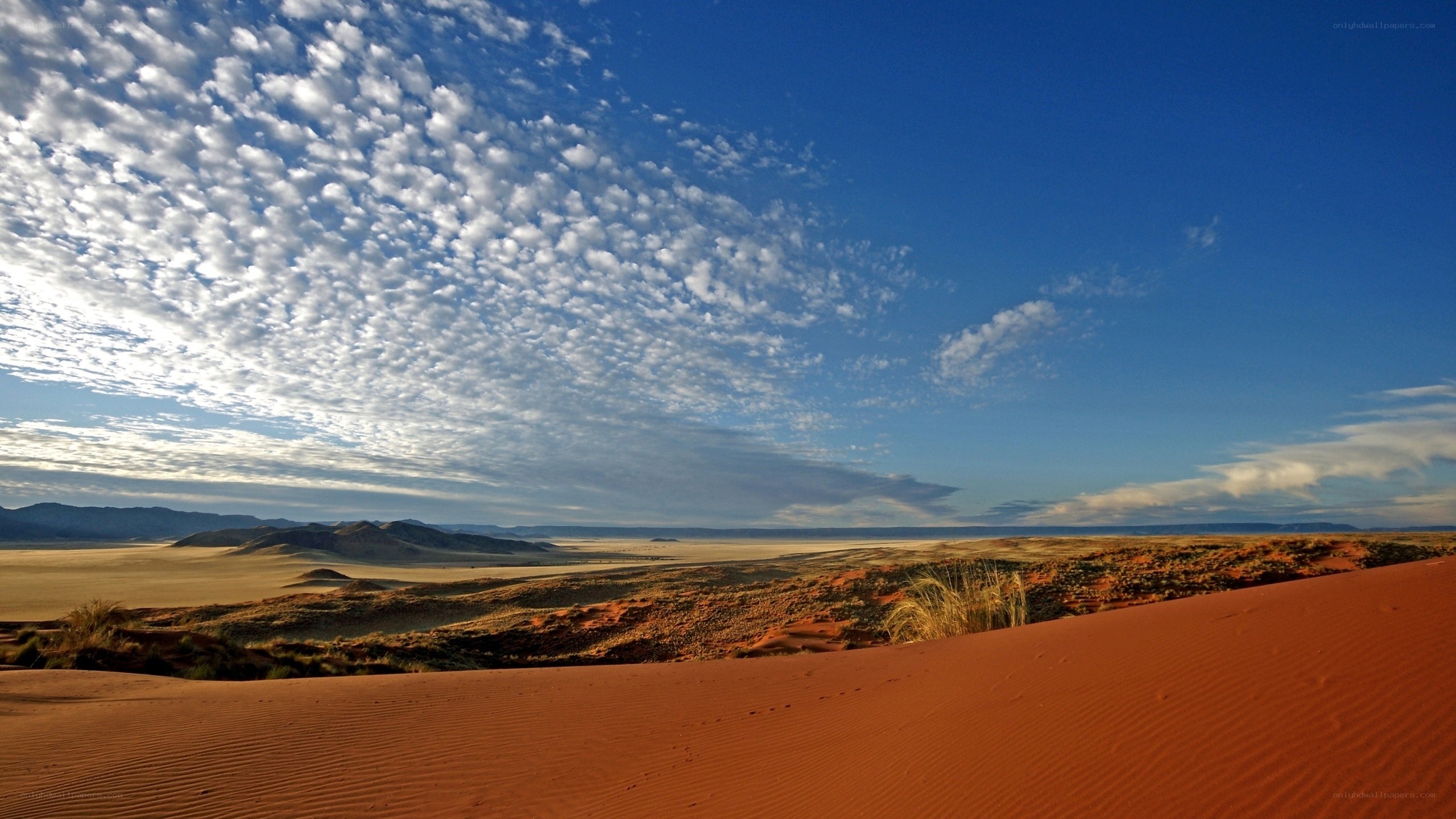 Desert landscape with sand dunes