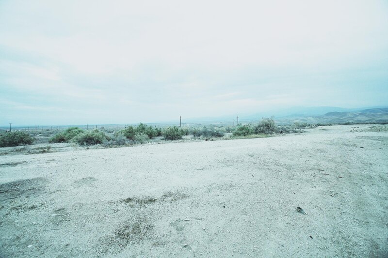 desert landscape with shrubs