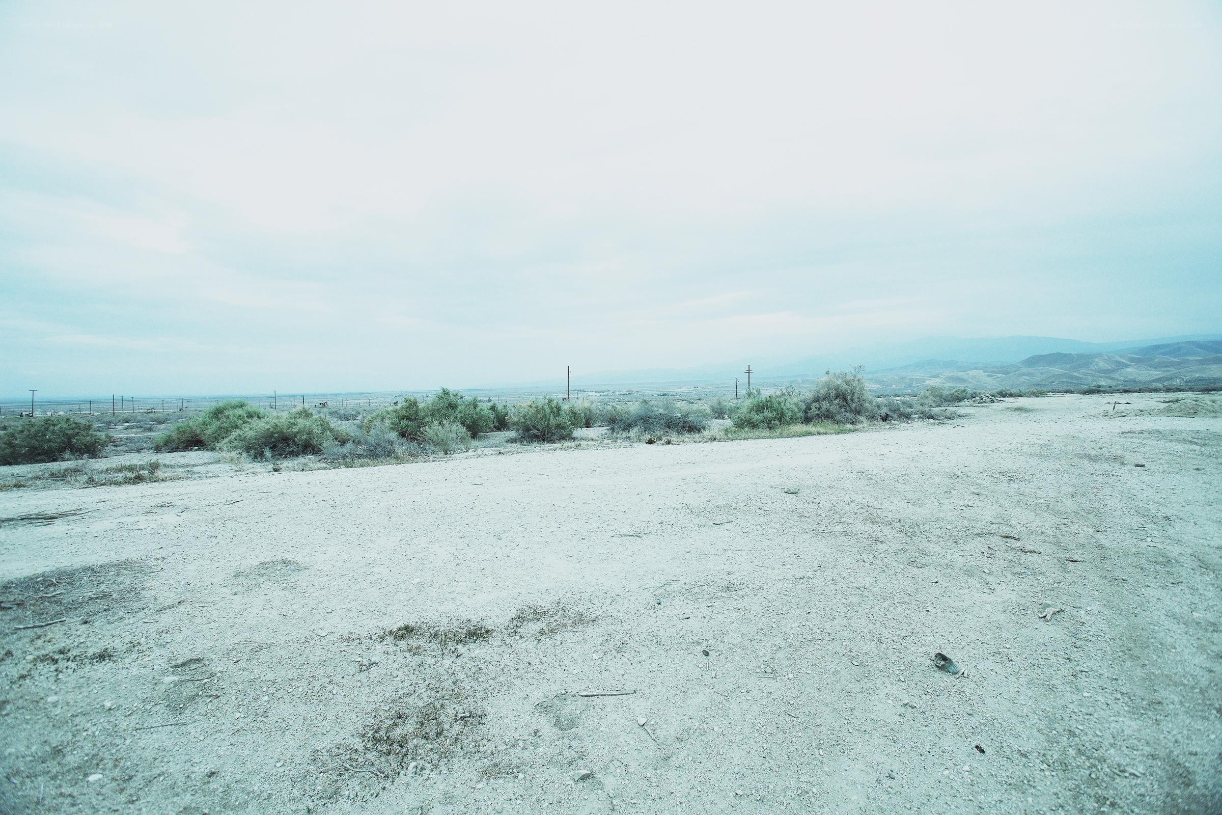 desert landscape with shrubs