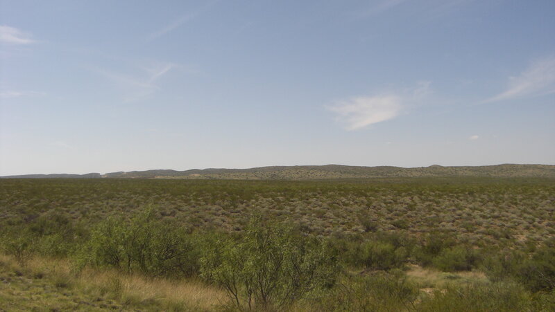 desert landscape with shrubs